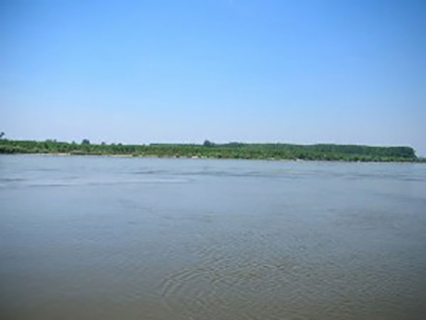 Joint initiative of WWF and Coca-Cola Company on the occasion of the Danube Day