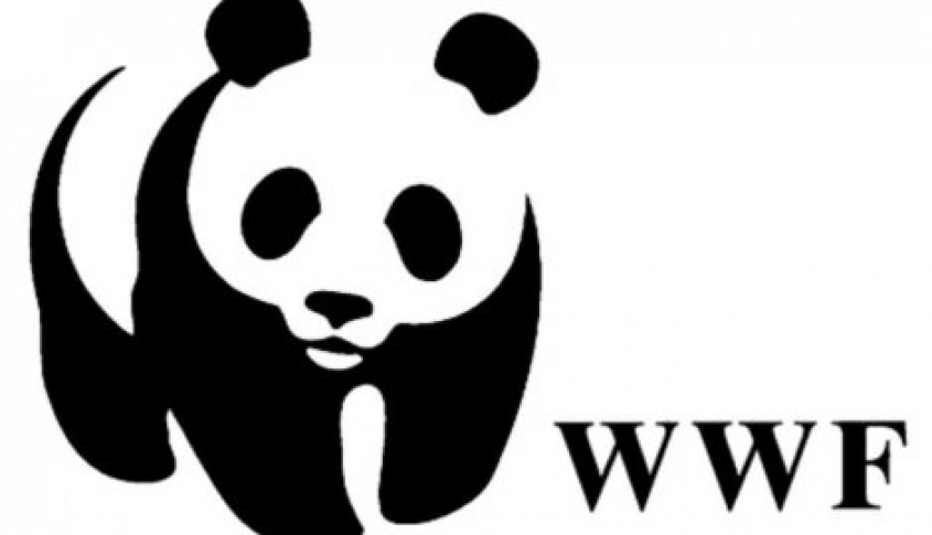 WWF invites volunteers to participate in the campaign 