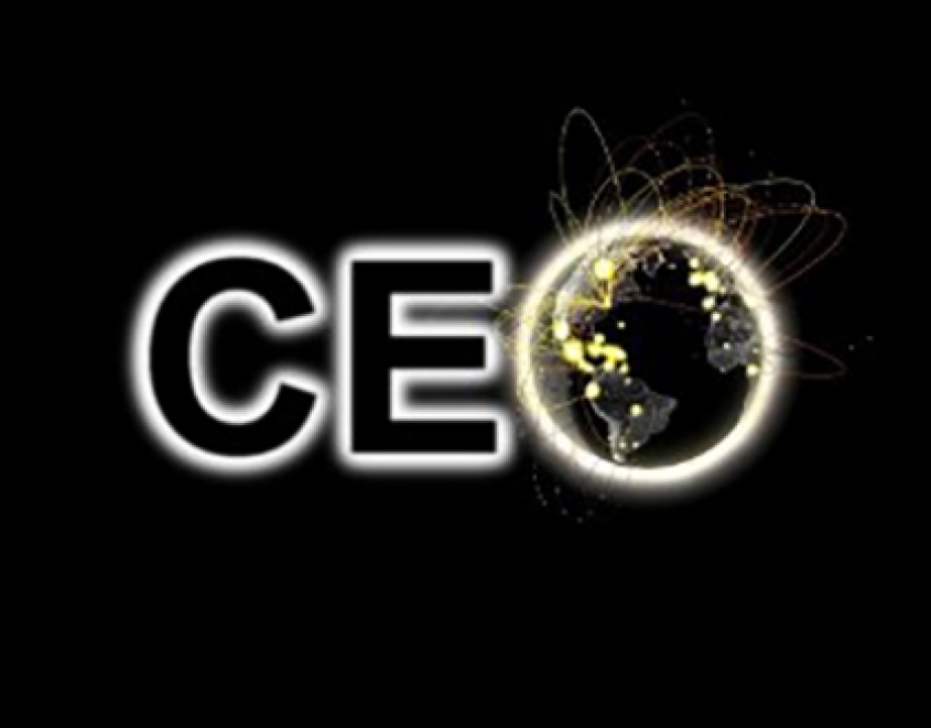 Helping the CEOs to Help Themselves