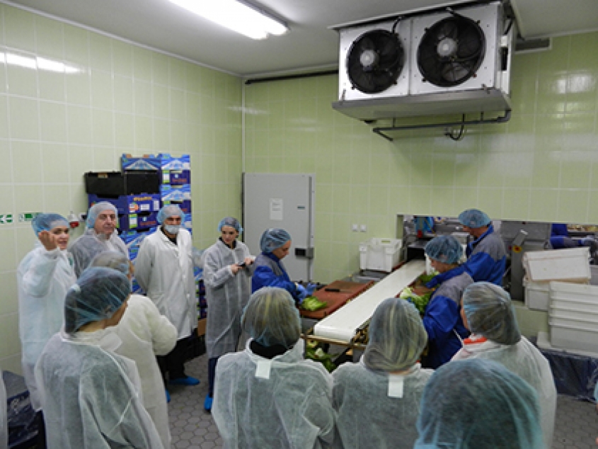 Visit to Iceberg Salat Centar