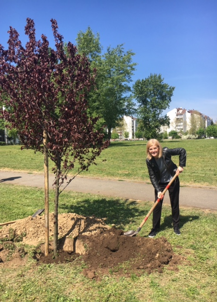 McDonald’s supported the initiative “Reforest Belgrade”