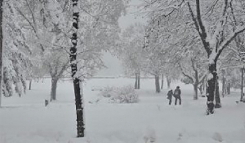 Volonteri opštine Stari grad u akciji čišćenja snega