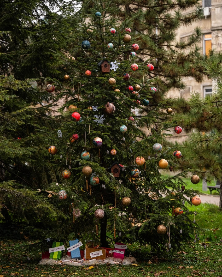 Zaposleni u Meku i mladi iz Kreativno edukativnog centra napravili nakite i okitili jelku, glasanje za najlepšu do ponoći  