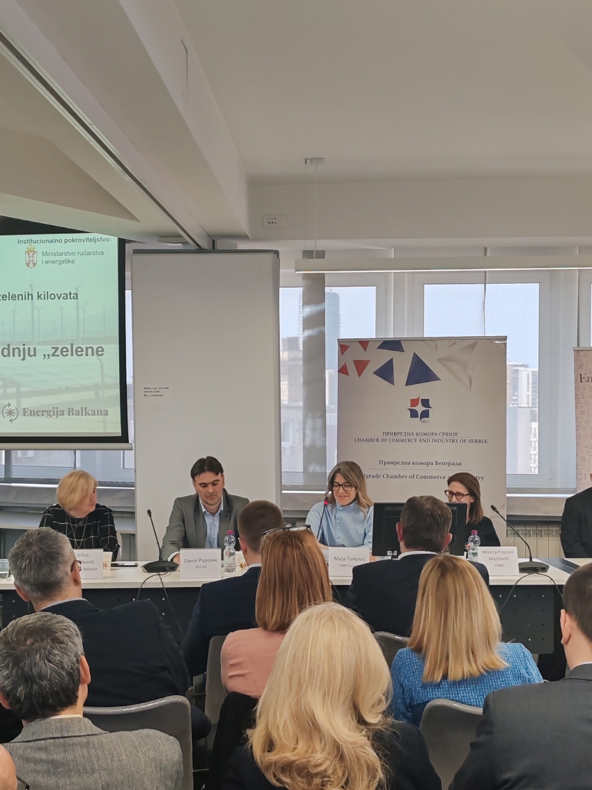 Maja Turković, CWP, on the panel “Effects of auctions on green electricity production”