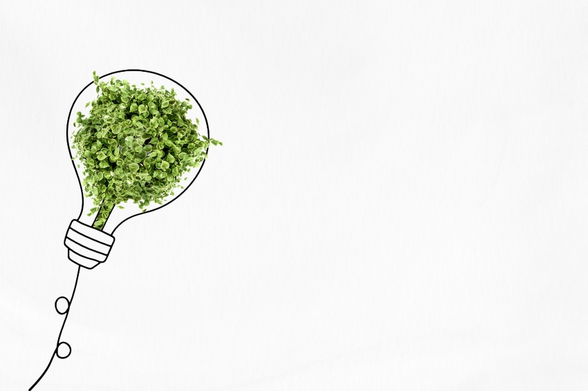 We invite you to participate in the survey: How are companies really implementing ESG and DEI?