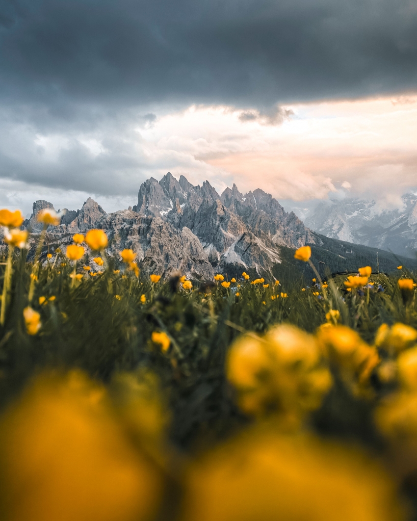Which holiday moments deserve a place in your photo album?