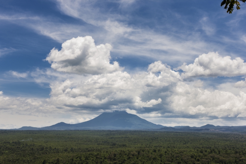 Afrički nacionalni park Virunga u opasnosti